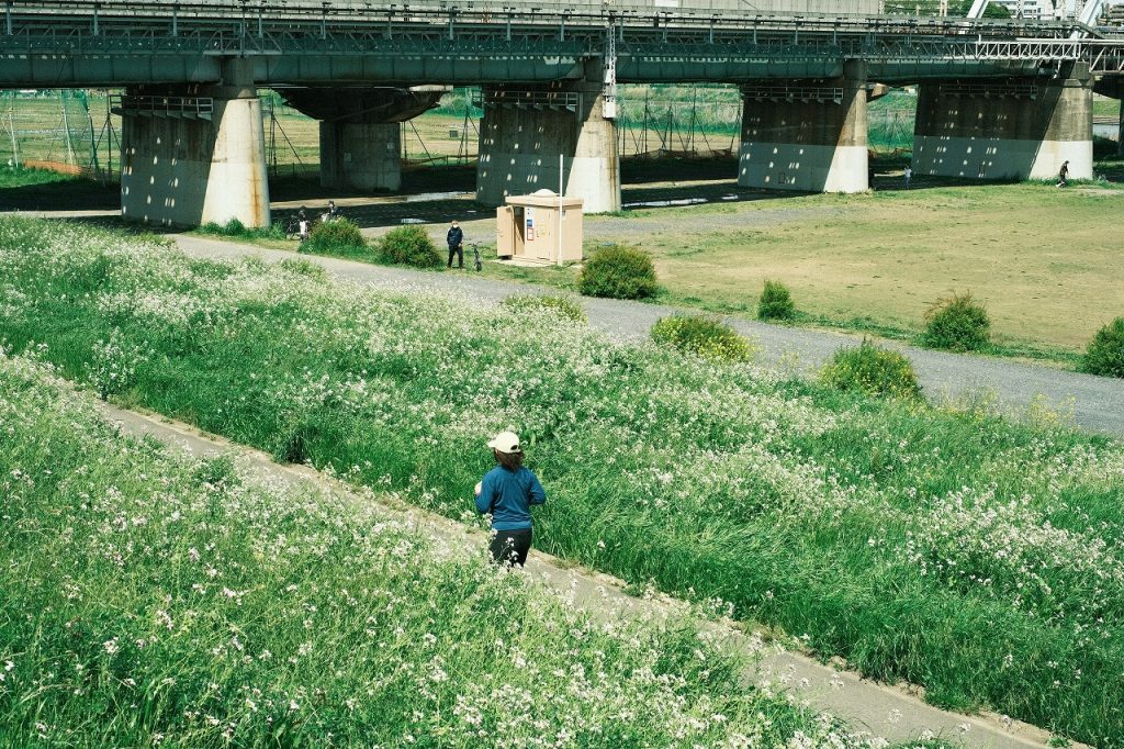 川の土手を走るランナーの写真