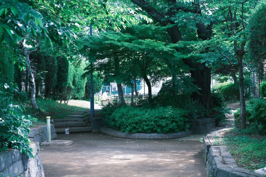 公園のベンチに座る男性の写真