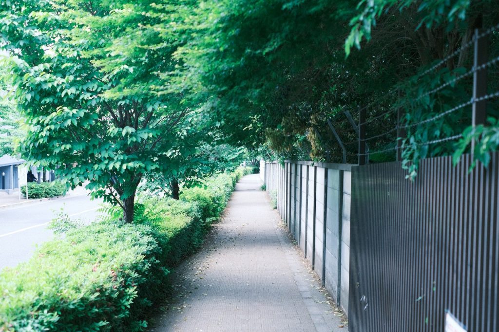 歩道の写真