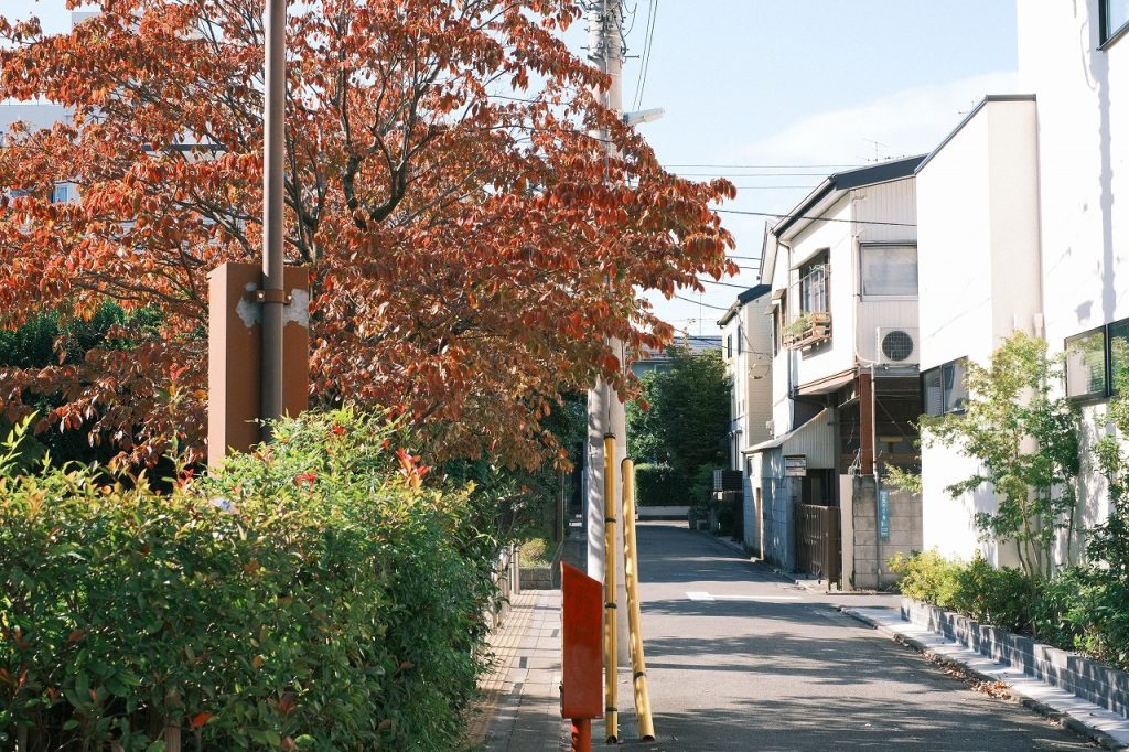 公園と路地の写真